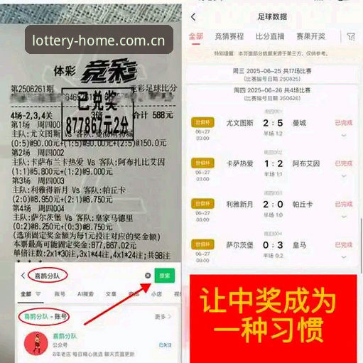 大发彩票资质认证 足球管理vs彩票体验:贝纳蒂亚艰难抉择与DFCP账户注册的相似之处